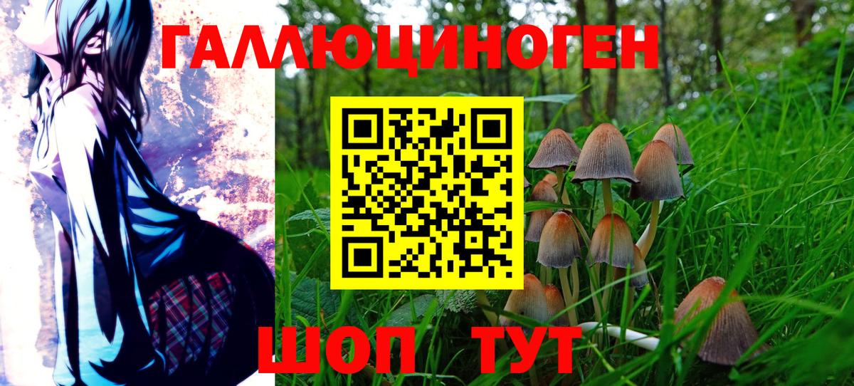 продажа наркотиков  Псилоцибиновые грибы прущие грибы  Вход с VPN  Белово  Галлюциногенные грибы мухоморы 