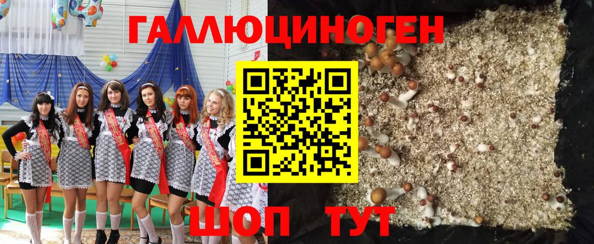Галлюциногенные грибы прущие грибы Белово